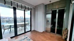 Belgravia Ace (D28), Semi-Detached #573400871
